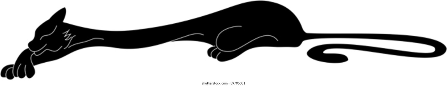 Laying happy cat