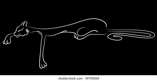 Un gato alegre que se pone bajo una pata