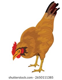 the Laying hen on white background vector design
