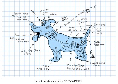 Layout of the dog.  Part of a dog. How the dog works, funny illustrate.
