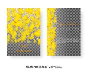 Layout of leaflets with yellow petals of flowering narcissus on a transparent background