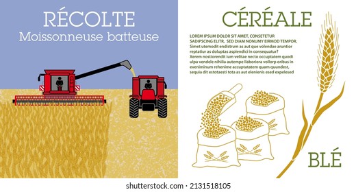 Disposición sobre el tema del cultivo y cosecha de trigo en un campo - Texto francés, traducción: cosecha, cosecha, cereales, trigo. 