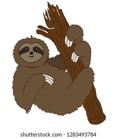 The Laziest  Sloth