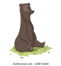 Lazy bear sitting on grass