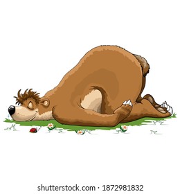 Lazy Bear Sleeping among Flowers, and a cute LadyBug Vector Illustration