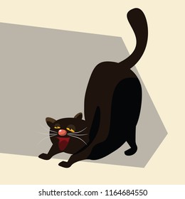 lazy black cat vector illustration 