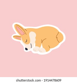 Lazy breed corgi sleeping sticker, kawaii funny little dog, napping cute face. Friendly puppy lying character. Hand drawn trendy modern illustration in flat cartoon style, isolated on pink background