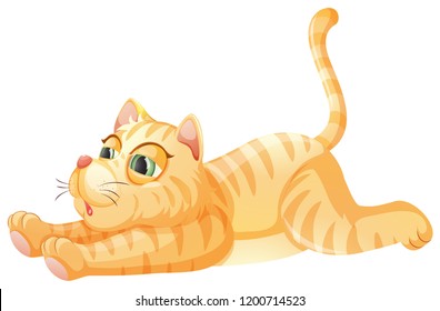 A lazy cat on whiye background illustration