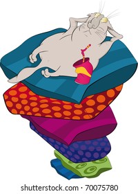 The lazy cat and pillows