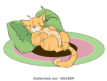  lazy cat resting on a pillow