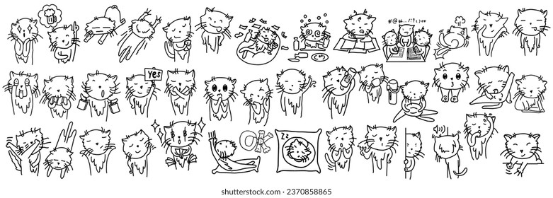 Lazy cat set at the company.