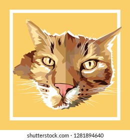 Lazy Cat Vector Illustration