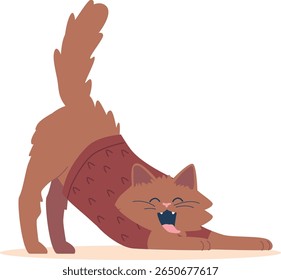 Gato preguiçoso usando suéter de malha