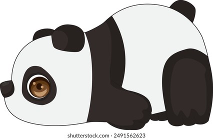 Lazy cute panda bear lying