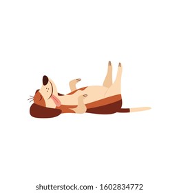 Lazy dog or cute beagle puppy sleeping and laying on his back comic cartoon character flat vector illustration isolated on white background. Funny pet and domestic animal.