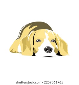 lazy dog ​​pictures are perfect for t-shirts