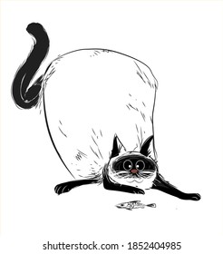 Lazy die fette Katze Vektorgrafik. Einzeln auf weißem Hintergrund.Katze mit schwarzer Maske und schwarzem Schwanz.
