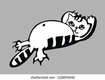 
lazy fat and striped cat lies belly up