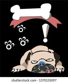 Lazy and hungry dog