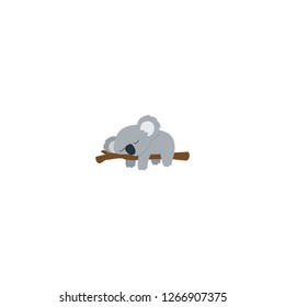 Lazy koala sleeping on a branch flat design, vector illustration