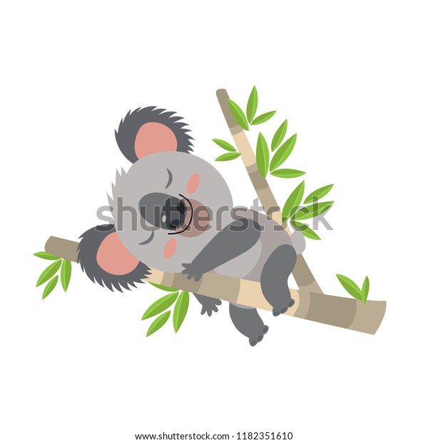 Lazy Koala Dort Sur Une Illustration Image Vectorielle De Stock Libre De Droits