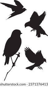Lazy shape.
Bird silhouette - Vector.