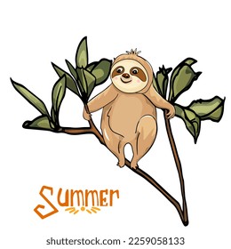 Lazy sloths wild animal lies on branch, climbs trees or eats green leaves. Design elements for stickers, social networks. Cartoon flat vector collection isolated on white background
