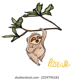 Lazy sloths wild animal lies on branch, climbs trees or eats green leaves. Design elements for stickers, social networks. Cartoon flat vector collection isolated on white background