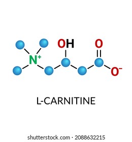 L-carnitine, Carnitine molecule model stock illustration