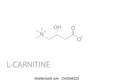 L-carnitine molecular skeletal chemical formula.