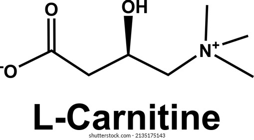 L-Carnitine molecule amino acid derivative chemical formula