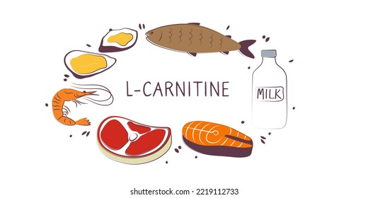 L-carnitine-containing food. Groups of healthy products containing vitamins and minerals. Set of fruits, vegetables, meats, fish and dairy.