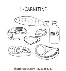 L-carnitine-containing food. Groups of healthy products containing vitamins and minerals. Set of fruits, vegetables, meats, fish and dairy