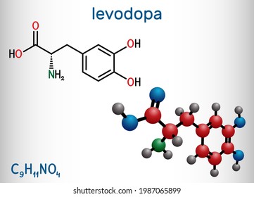 l-DOPA, levodopa molecule. It is an amino acid, is used to increase dopamine concentrations in the treatment of Parkinson's disease. Structural chemical formula, molecule model. Vector illustration