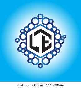 LE Initial letter hexagonal logo vector