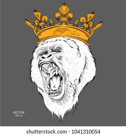 The leader of a pack of gorillas in the golden crown. Vector illustration
