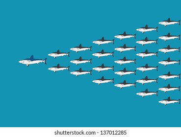 Leadership from Shark pattern