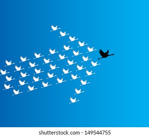 Leadership And Synergy Concept Illustration : A Number Of Swans Flying Against A Deep Blue Sky Background Lead By A Big Dark Leader Swan