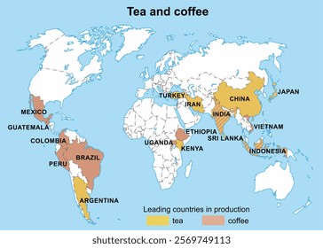 Leading tea and coffee producing countries on 
geographical contour map of world. 
Agriculture, crop production. 
Vector educational drawing.
Continents and countries
with inscriptions in English.