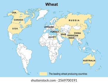 
Leading wheat producing countries on 
geographical contour map of world. 
Agriculture, crop production. 
Vector educational drawing.
Continents and countries
with inscriptions in English.