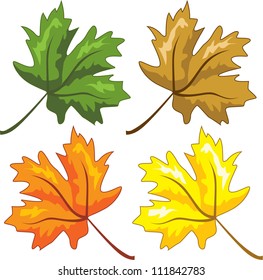 Leaf
