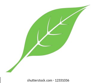 Leaf