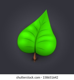 Leaf