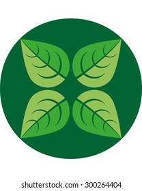 Leaf