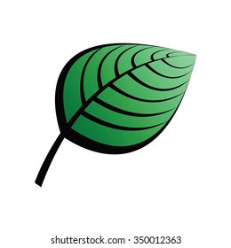 leaf