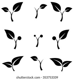 leaf