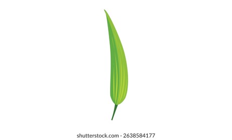 Leaf 4: Leaf vector design on white background