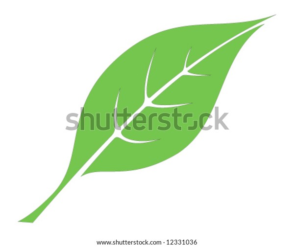 Leaf Stock Vector (Royalty Free) 12331036