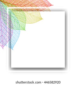 Leaf abstract background or card. Vector colorful illustration.