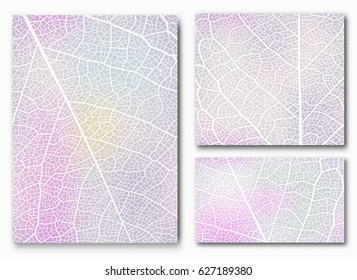 Leaf abstract backgrounds